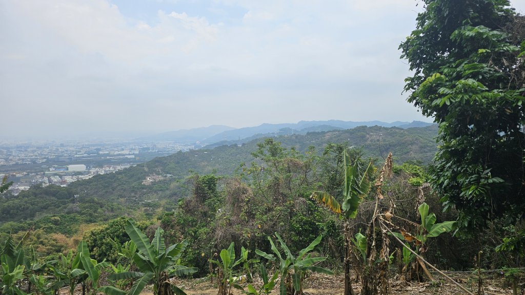 台中大縱走車籠山 淨德山 阿罩霧山_2468103