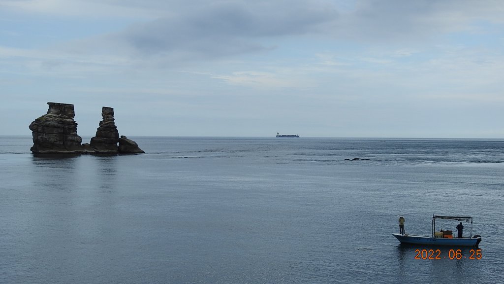 雲山水花鳥蝶-天龍國阿伯的日常6/25&26_1744241