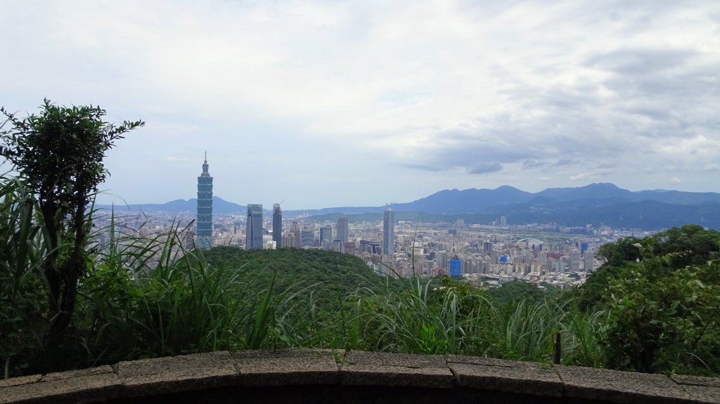 樹梅古道,不二法門_2240041