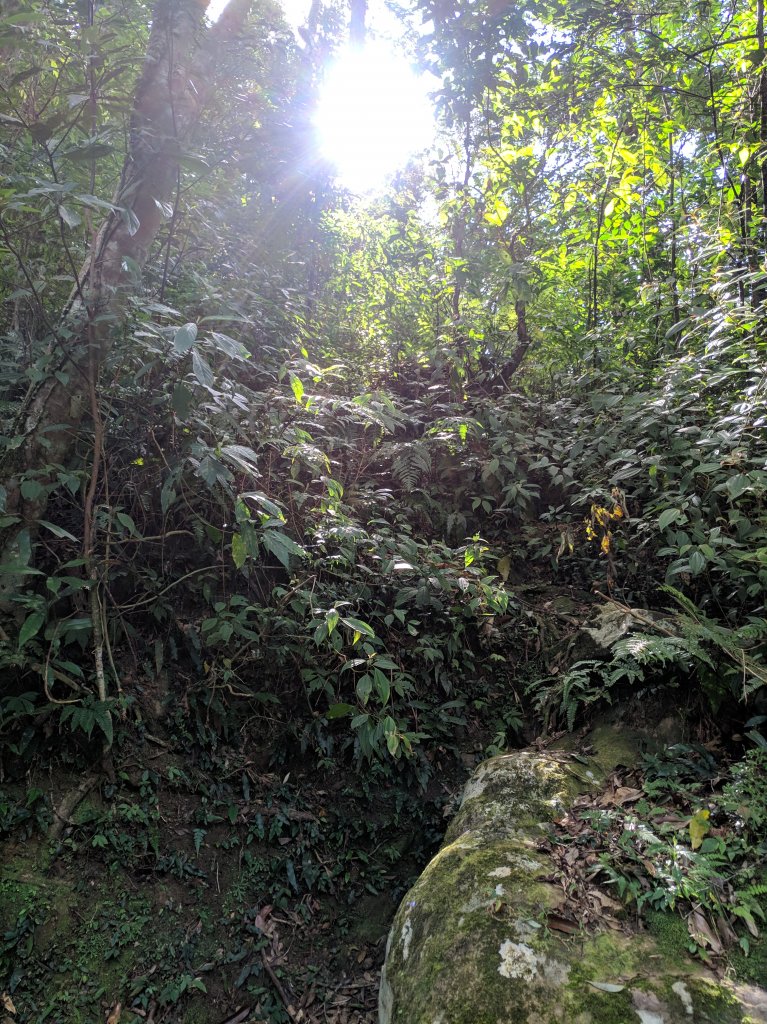 雲森瀑布+阿花瀑布+組合山+滿月圓山封面圖