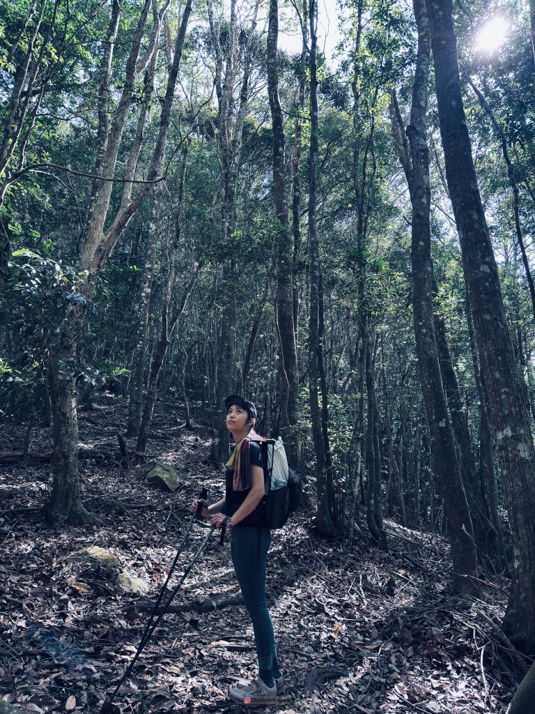 松鶴上八仙_2653172