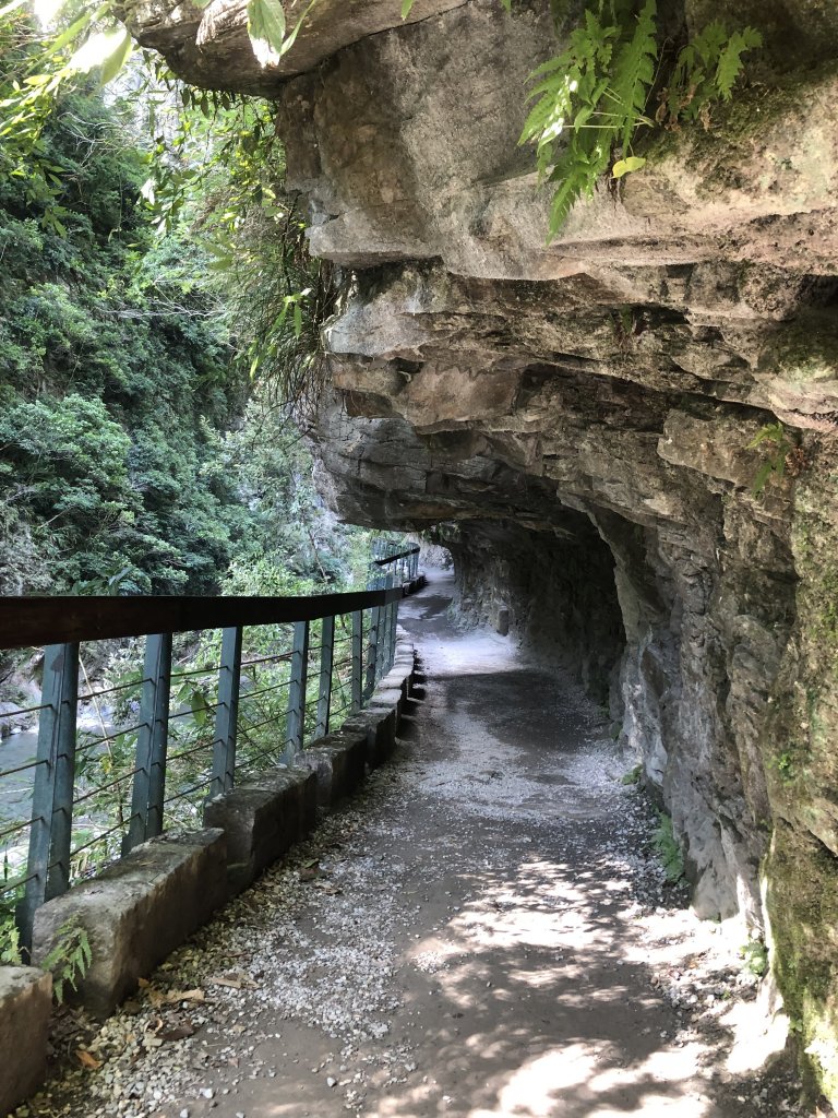 ~ 大禮大同步道 ~_2039631