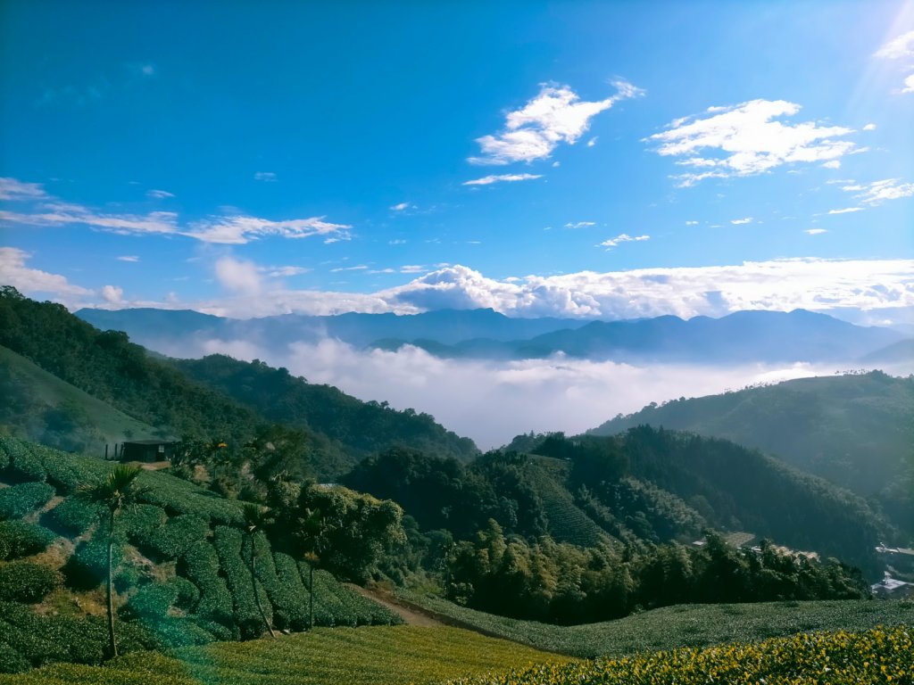 雲嘉連峰_2365682