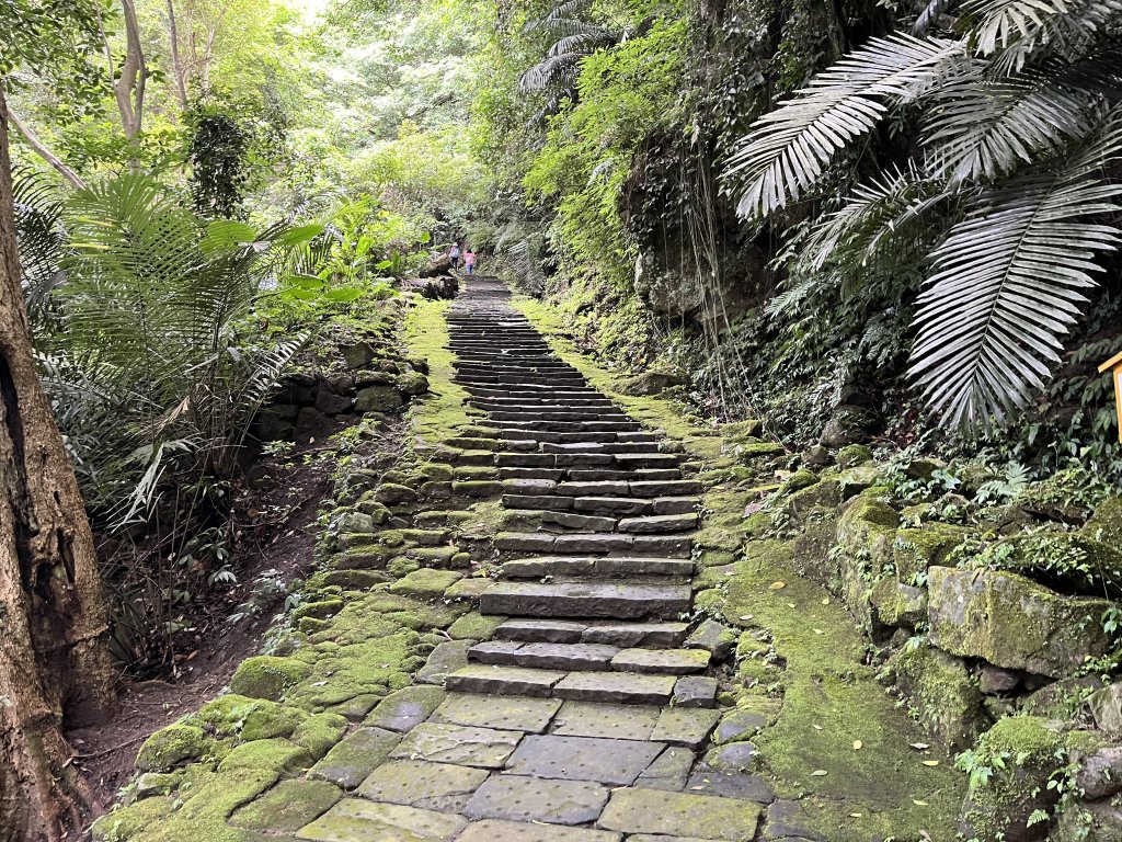 [皮皮獅Hike客任務-04/10] 2024_0721 獅山古道_2557486