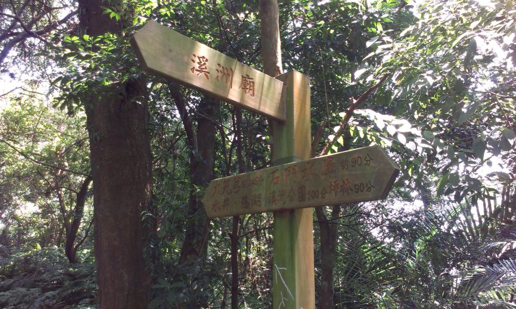 百吉林蔭步道&新溪洲山縱走20130913_1958418