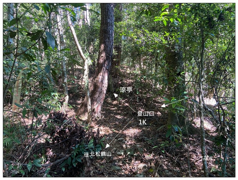 北松鶴山、德芙蘭步道 (台中 和平)_2922146