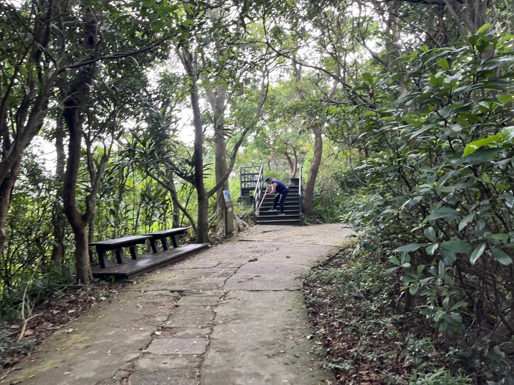 [山頂鳥40周年會員大縱走-14/15] 2024_0804 劍潭山親山步道_2566182