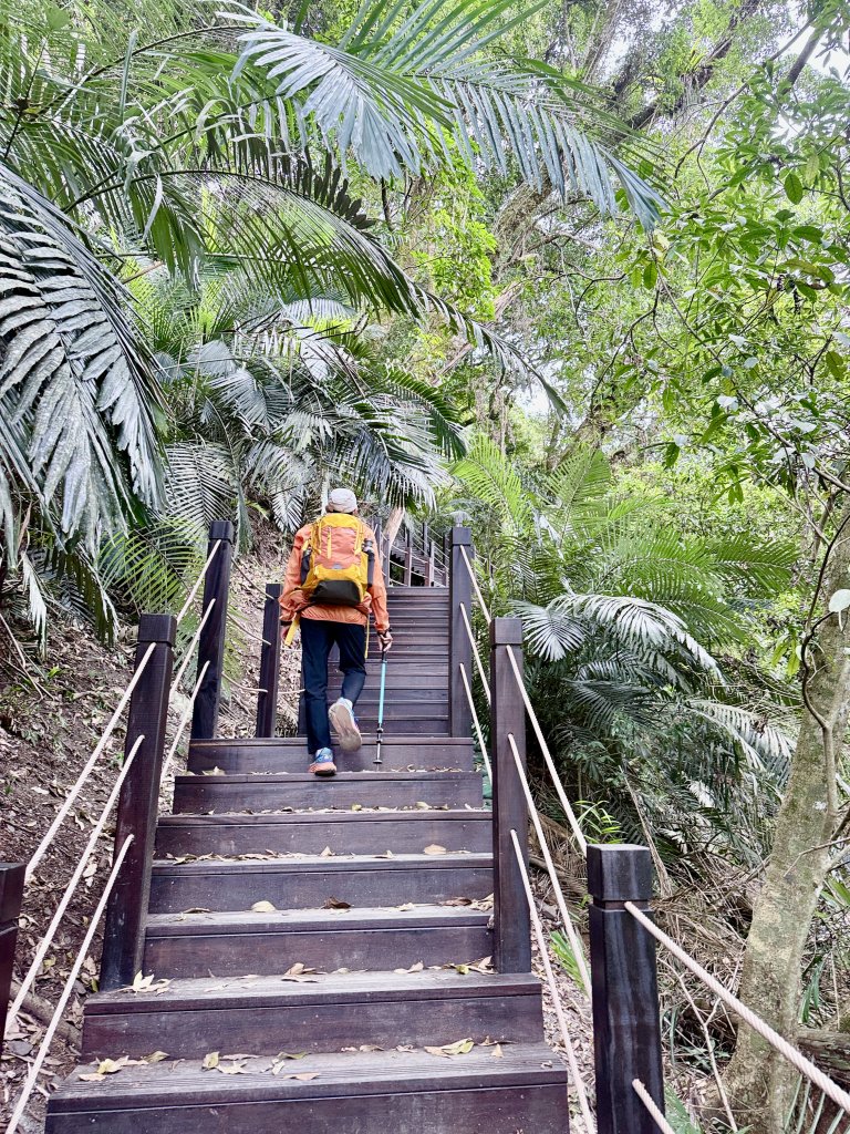 雪山坑步道悠遊順訪雪山坑山(再訪)  2025.12.3_2953737