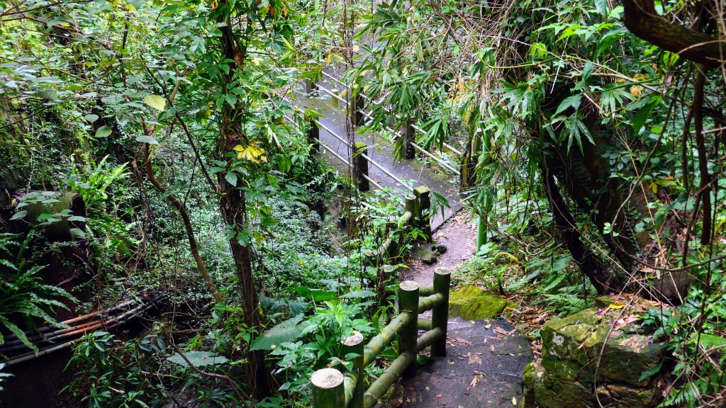 磺溪溫泉步道_2651528