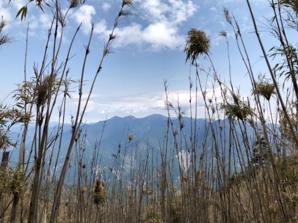 20180414 撿到賺到的郡大山_311209