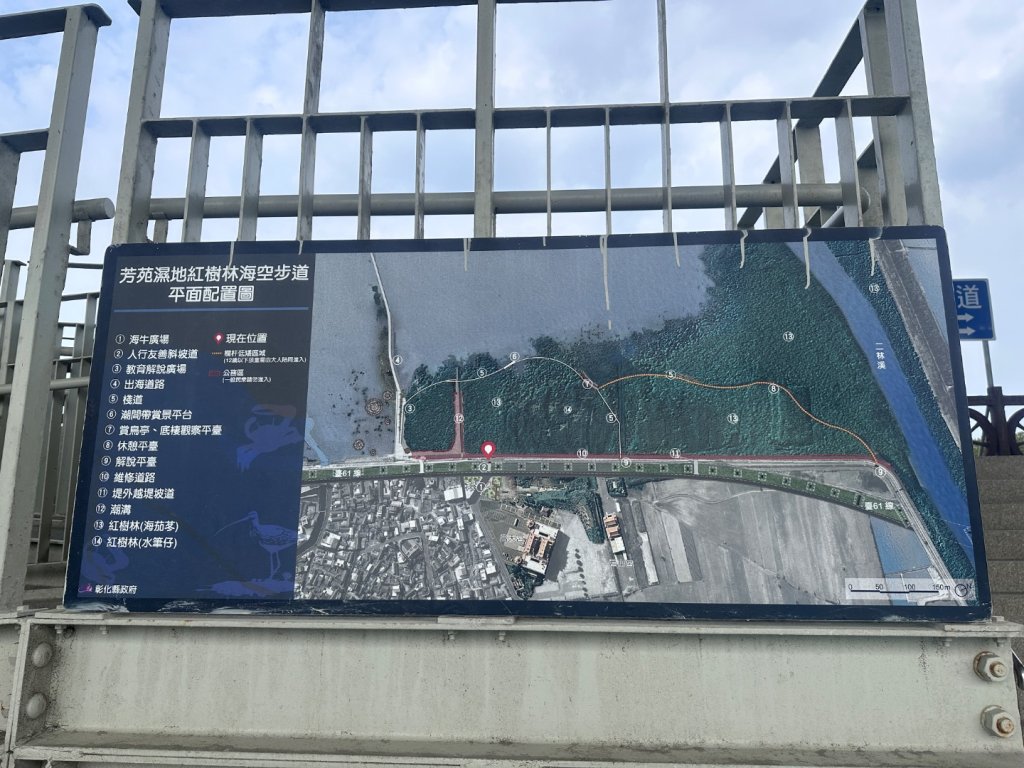 芳苑濕地紅樹林海空步道_2766451