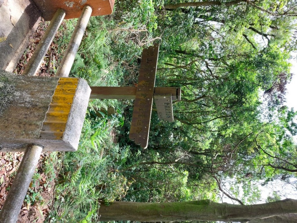 20230416＞臺北大縱走-5_2115431