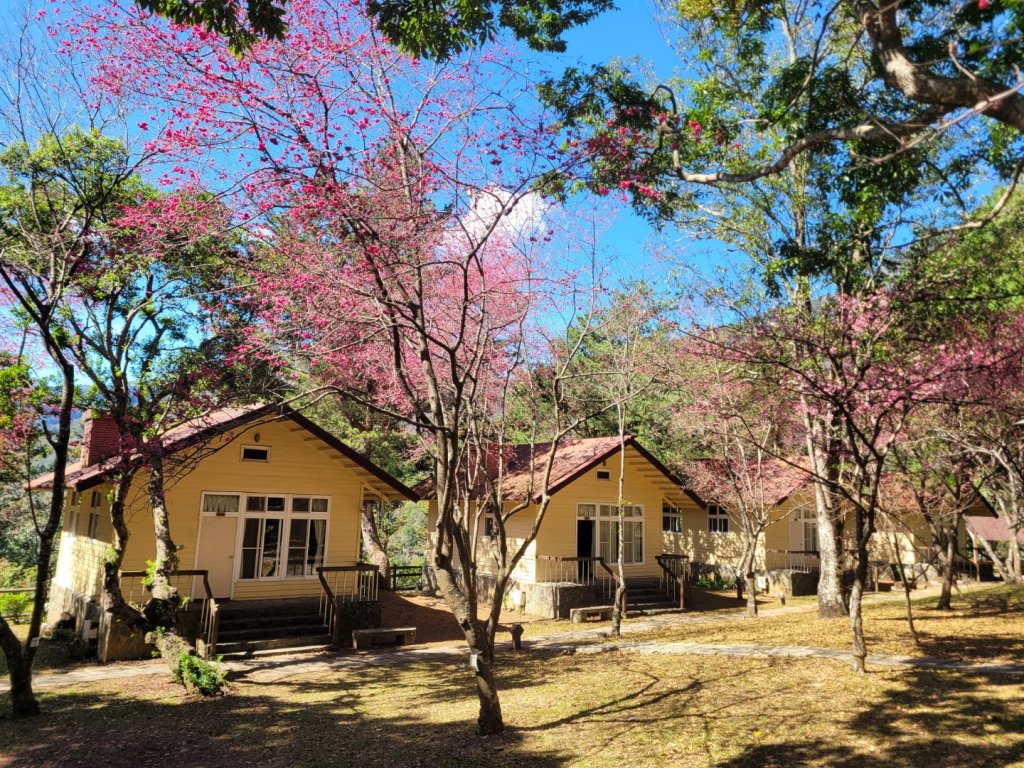 我音山 小出山 出惠蓀林場_2026535