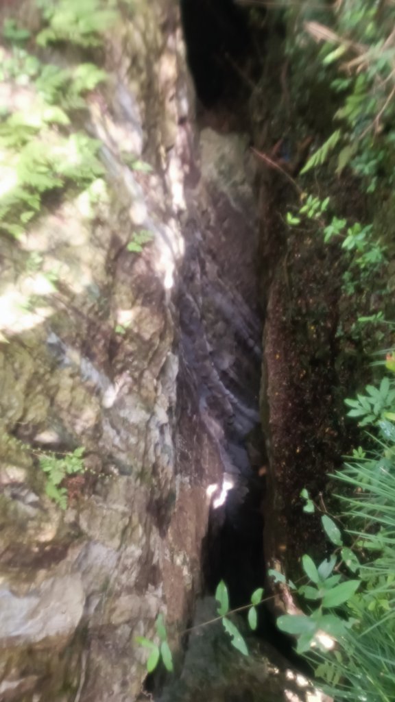 百大：北柴山(壽山、泰國谷、一簾幽夢步道)_1753603