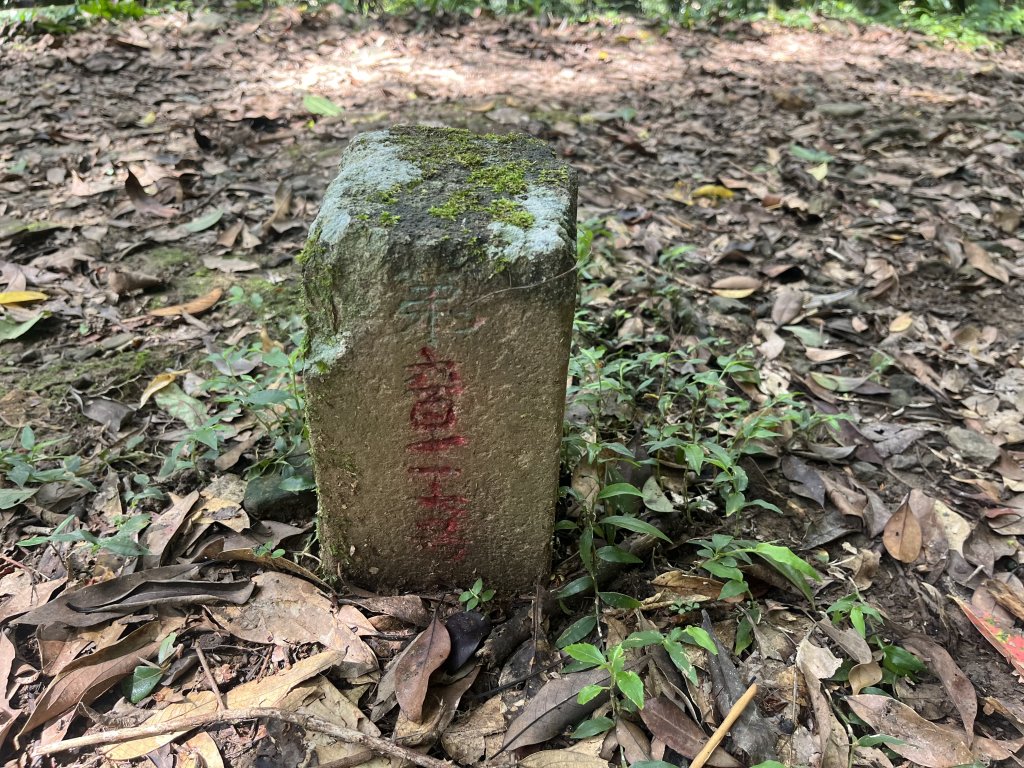 [淡蘭古道] 2024_0622 中路第四段-北勢溪古道_2533870