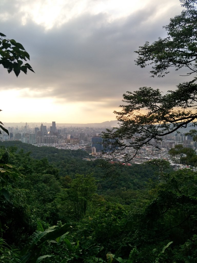 南港山縱走親山步道(拇指山、南港山、象山、九五峰)_1820178