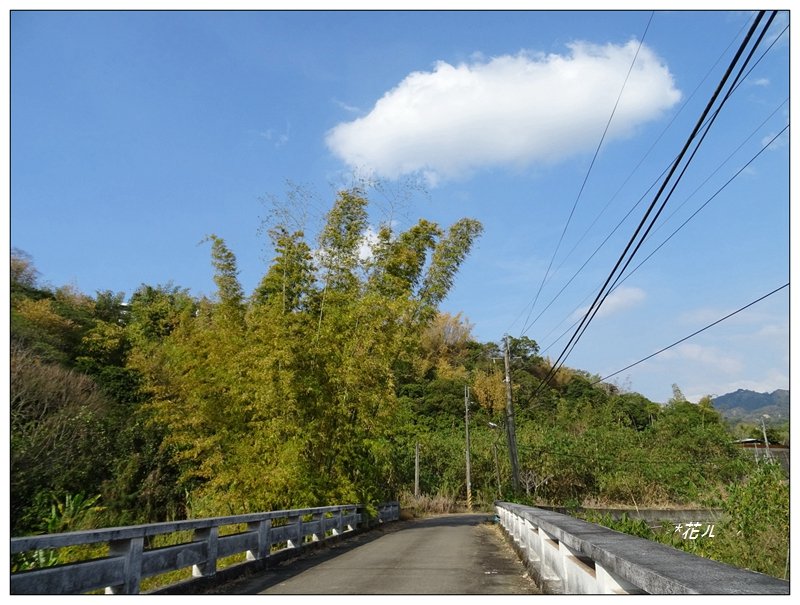 東南坑山(台中-太平)_1279640