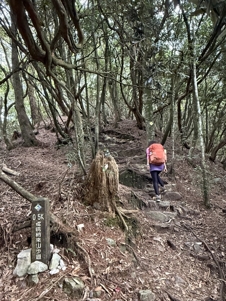 鳶嘴山+稍來神木 20250830_2873849