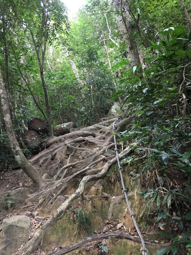 20161216_谷關七雄之六-白毛山_874292