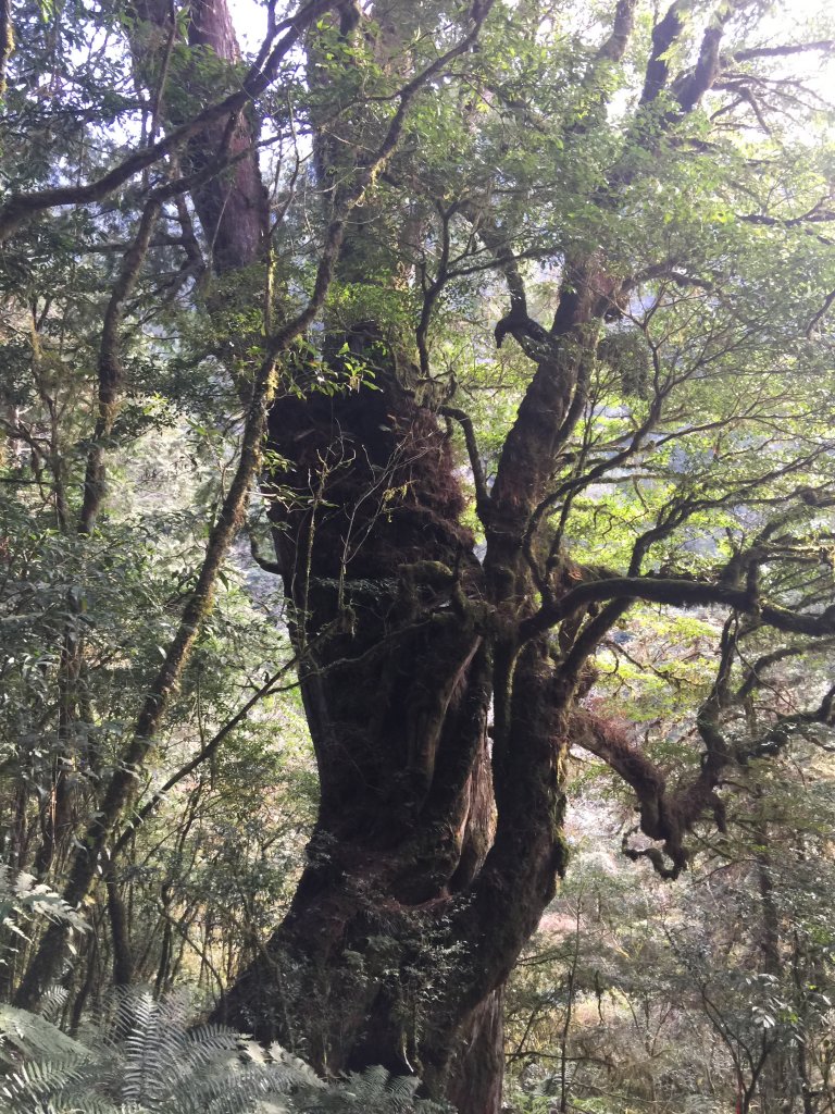 散落的珍珠-加羅湖_564994