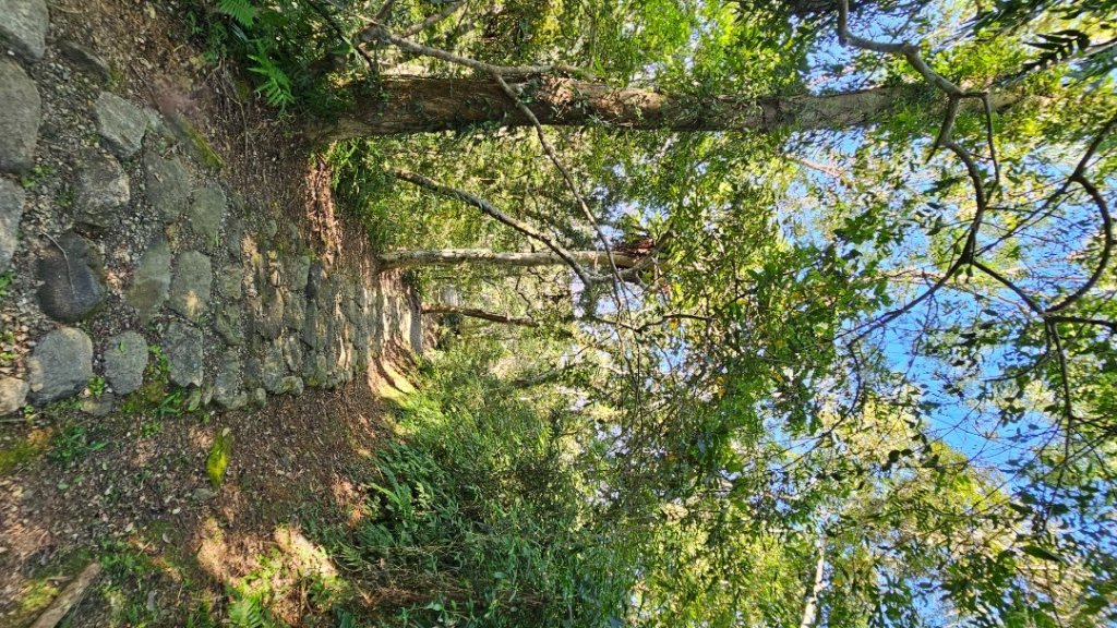 【爬山會爬上癮】五刷小百岳#089鯉魚山。_2824762