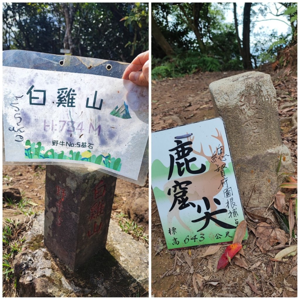 三峽白雞三山_2412022