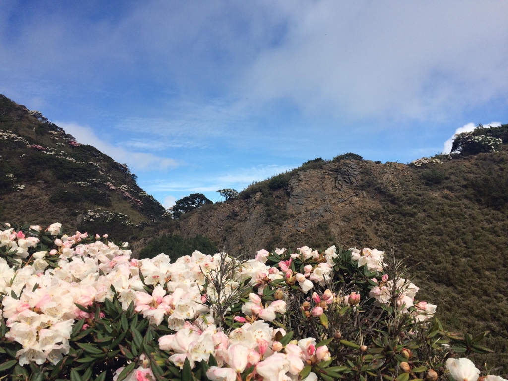 合歡山北峰-小溪營地_50300