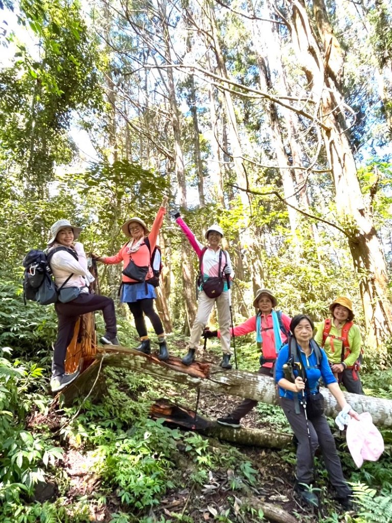 瞭望台-瓊山-望美山-獵人古道_2886896