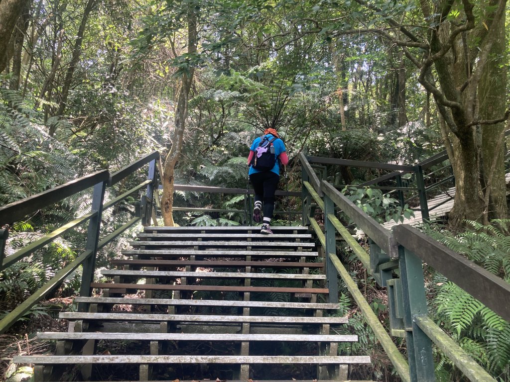 大崙頭山_2532634
