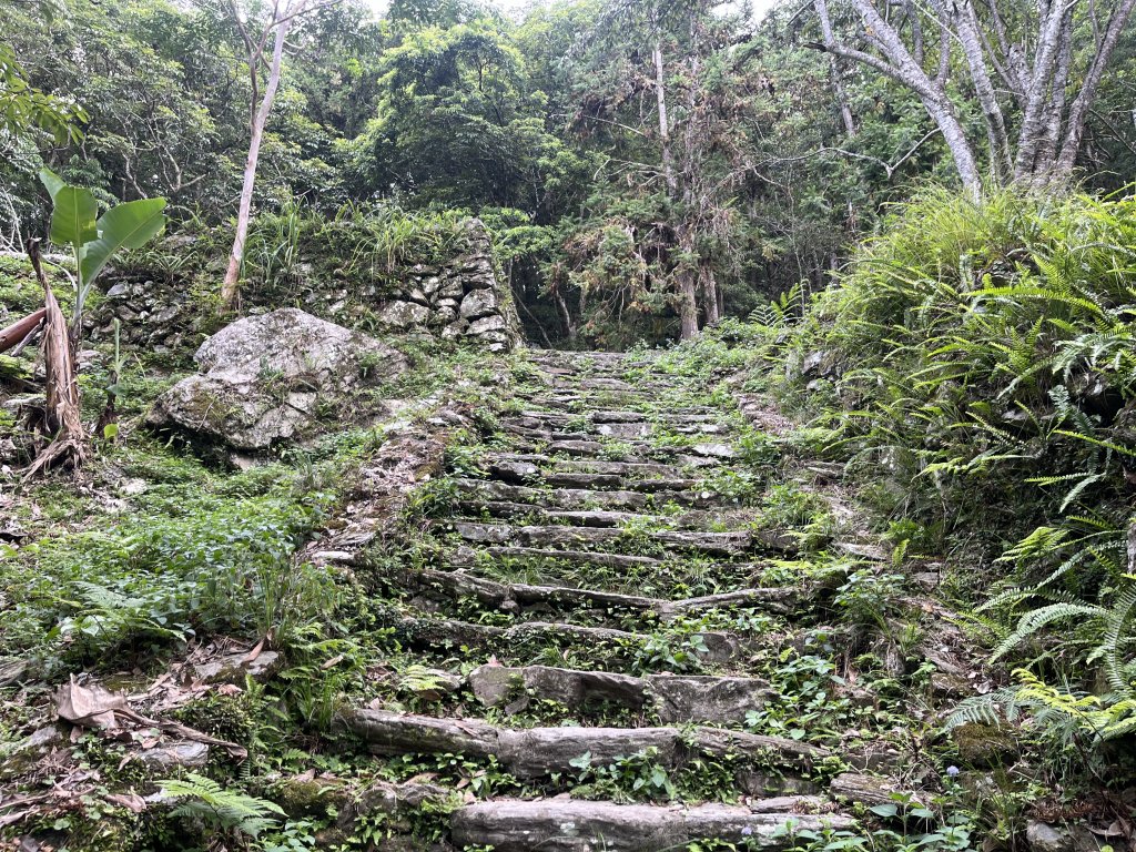 [玉山尋寶任務-03/12] 2025_0810 瓦拉米步道_2857878