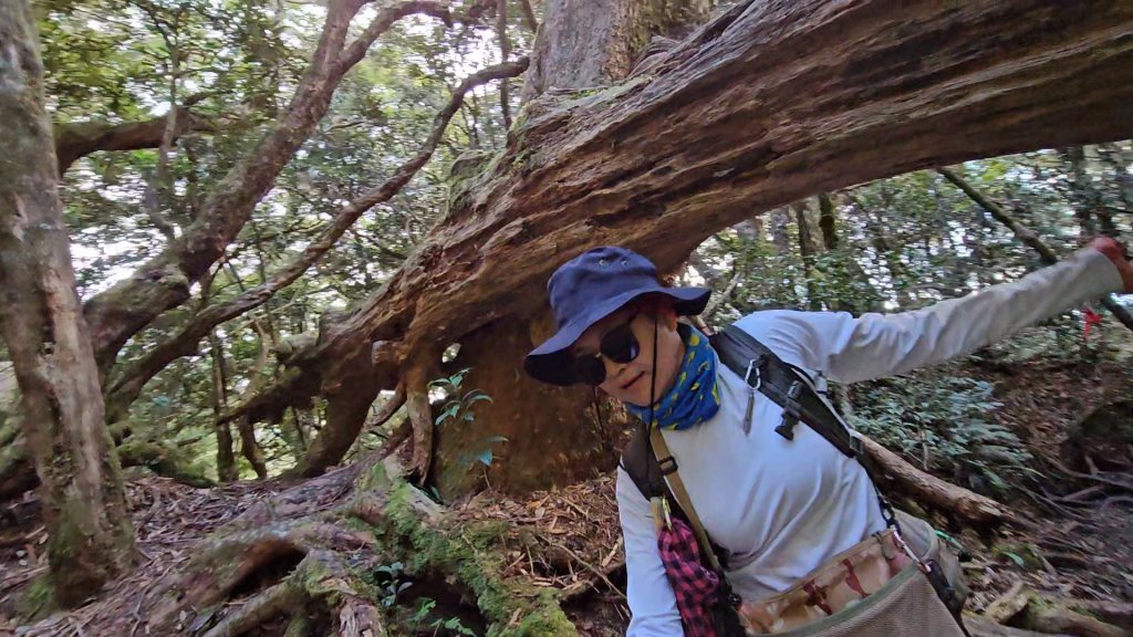 翩翩起舞的塔曼山_2363587