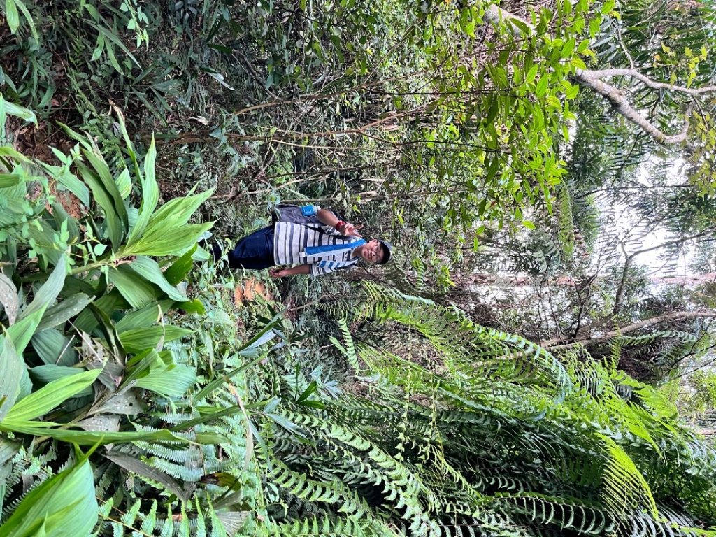 20250913_大橫屏山（南投小百岳）_2941230