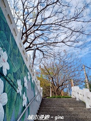 【苗栗】貓貍山公園功維敘隧道_2981686