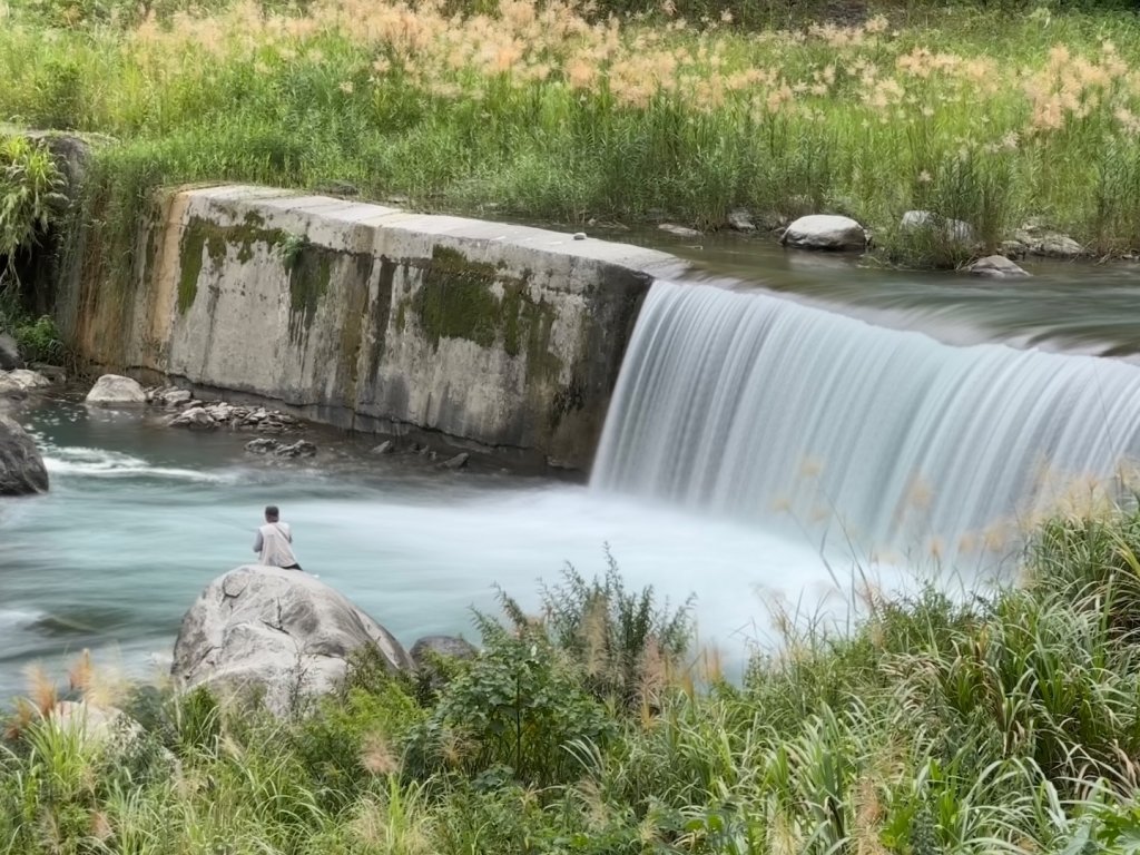 清泉 雪霸農場 野馬瞰山_2925856