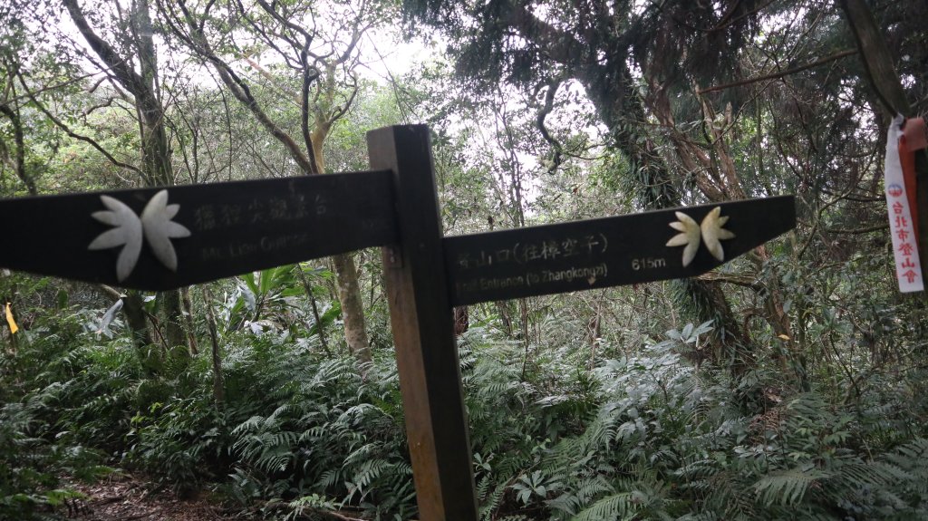 獵貍尖步道連走烏塗溪步道登山健行趣(淡蘭南路TK3-6&TK3-5&TK3-4)_2404483