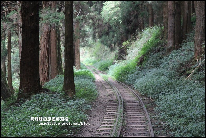 消失的阿里山眠月線_802002