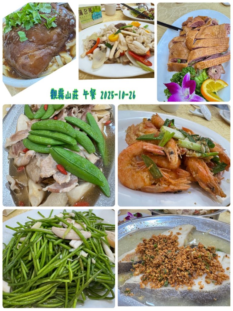 觀霧-榛山步道_2926038