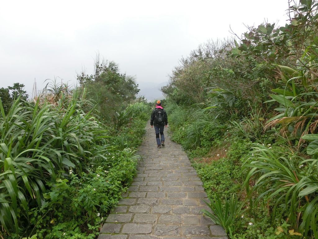 野柳岬山．地質公園_102016