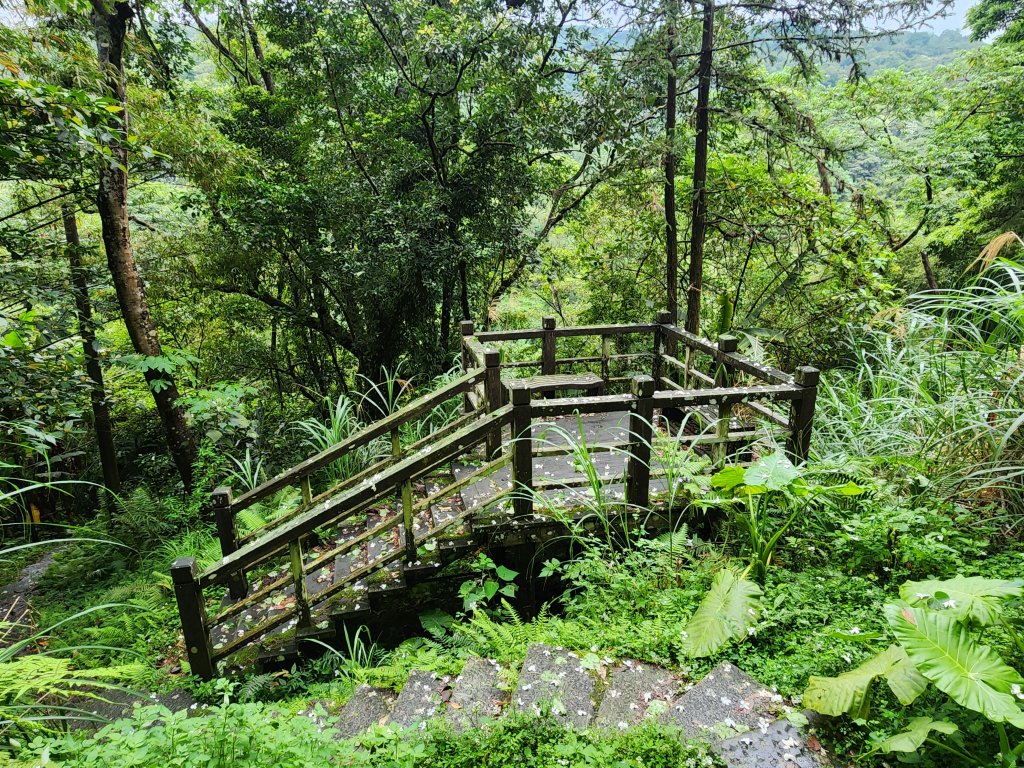 20250427大山背山田寮山毬子山騎龍山_2933674