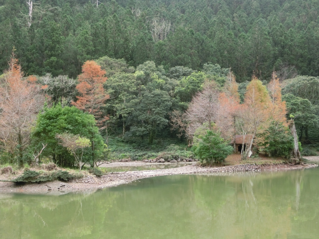 棲蘭山莊．神木園．明池_93541