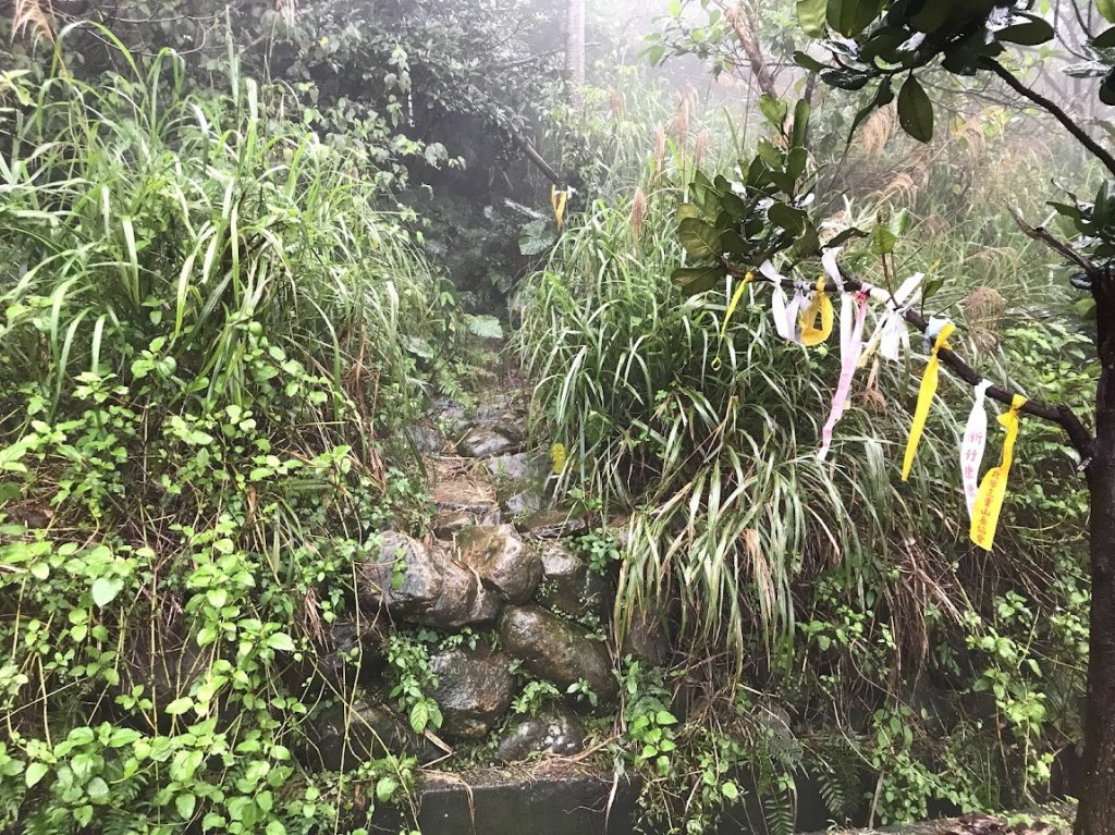 基隆山+東峰O型走20180121_1962989