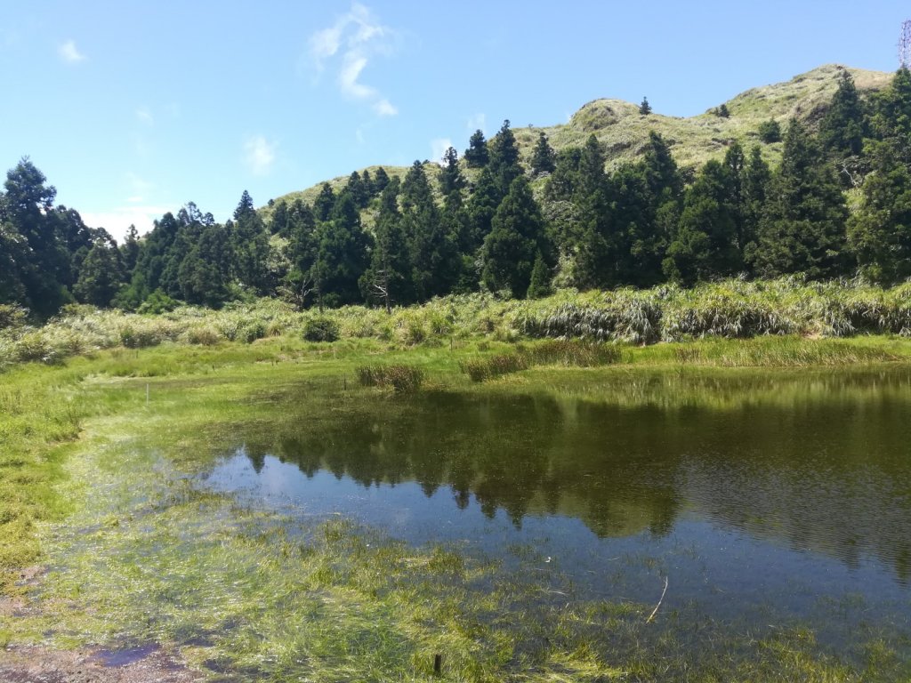 冷苗步道-七星公園-夢幻湖-冷水坑O形_668604