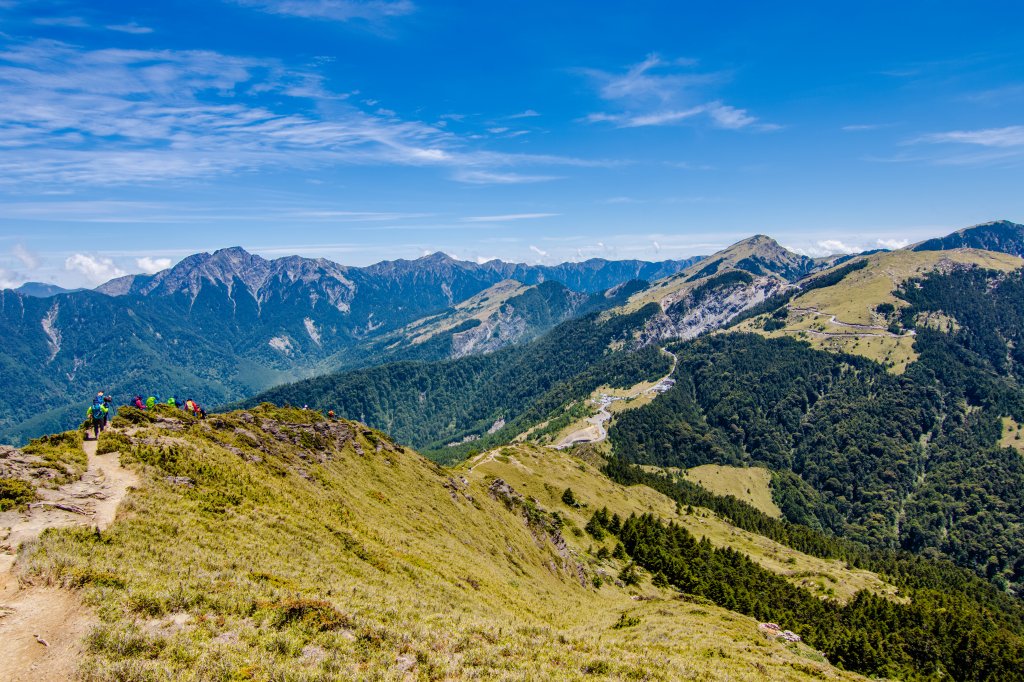 合歡山北峰賞高山杜鵑(2021/04/30)_1370862