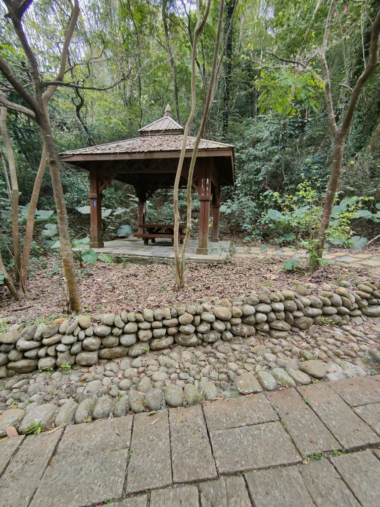 挑水古道_2372002