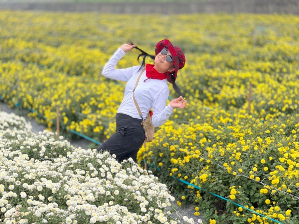小百岳關刀山889m+銅鑼杭菊_1924073