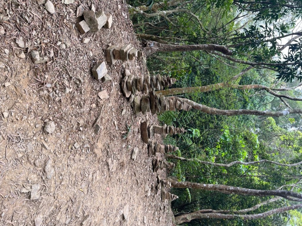 白賓山_2755680