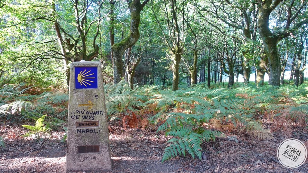 【勇氣2.0朝聖之旅】D37波爾托馬林_683706