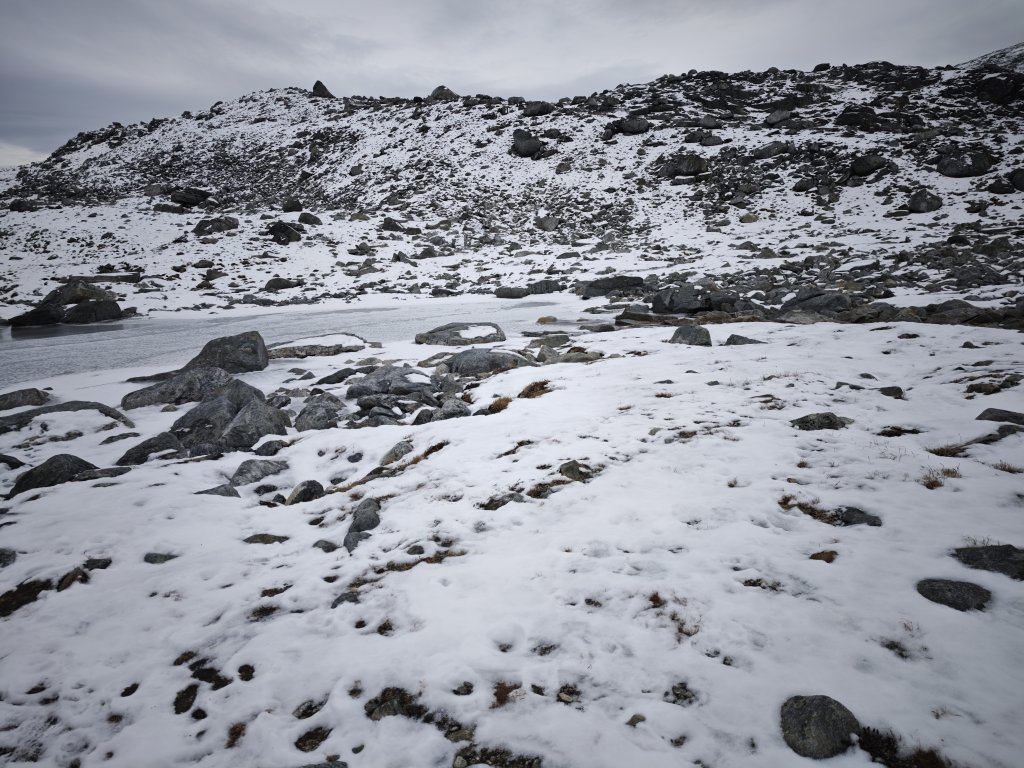 [紐約馬之行-46] 2025_1108 努克環狀步道 3/5_2951402