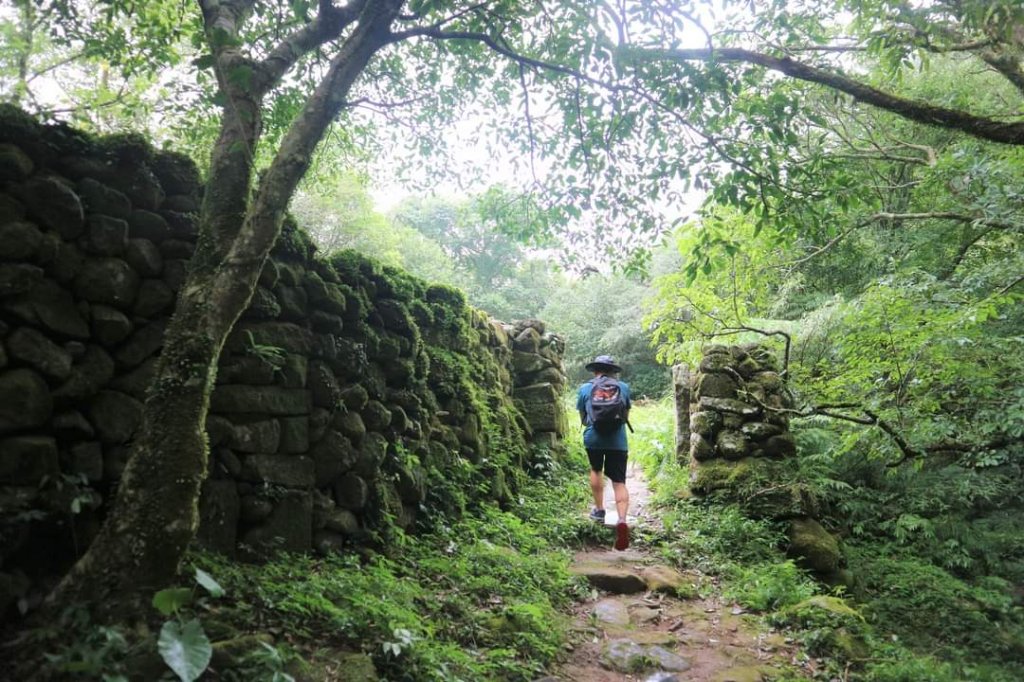 〔陽明山 〕面天山 向天山 向天池 二子坪步道。火山口湖 獨特生物蚌蟲 向天蝦（豐年蝦）_2235403