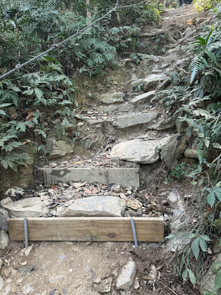 真的很硬的尾寮山_2039196